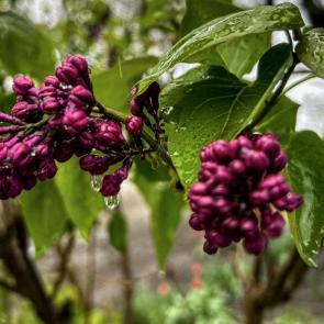 ���� ��������: �������� ����� ������ 