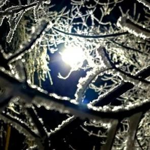 ����: ������ ������