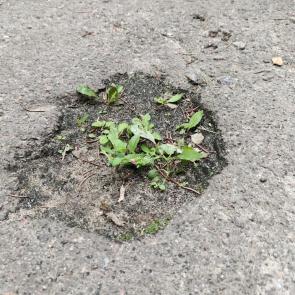 ����: ����� ������� �������� 