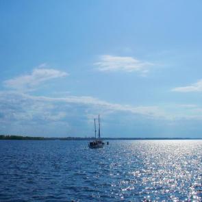 ����: ������ ����� ��������