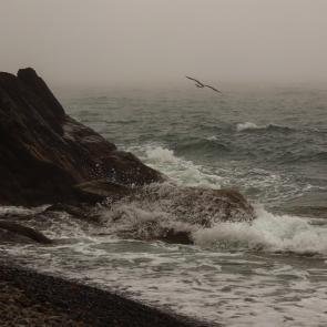 ����: ���� ��� ������