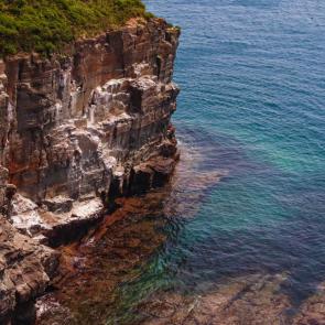 ����: ��������� ��������