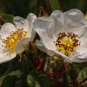 ����: �������� ��������� 