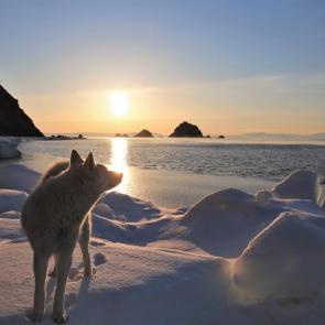 ���� ��������: �� ���� �����. ����� ��������. �������