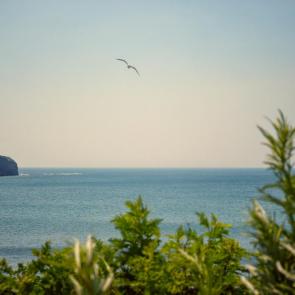 ����: ������� ������ 