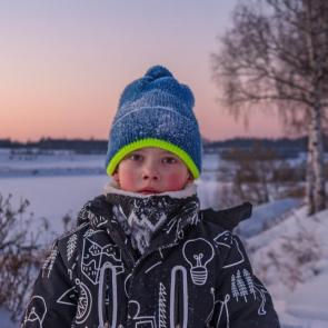 ����: ���������