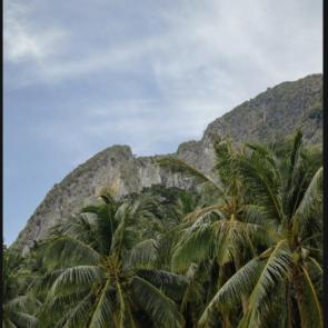 ����: ��� �� ����������