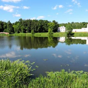 ����: ���������