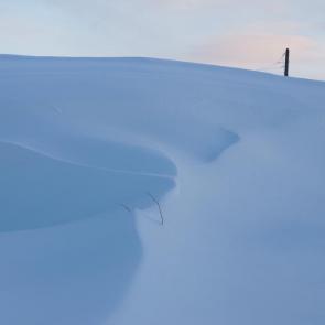 ����: ���� ���-�� �����..