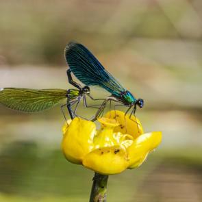 ����: � ���� ��� ������?!