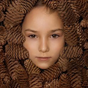 ����: ����