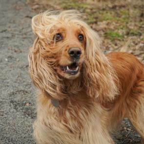 ����: ����� �����