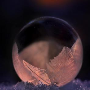 ����: ������� ����. 