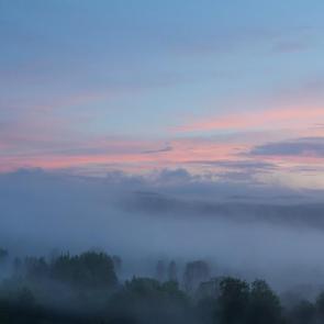 ����: �����