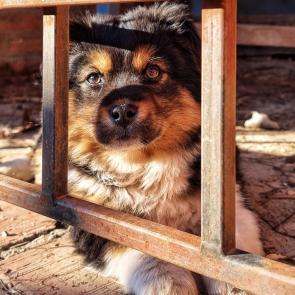 ��������� ������