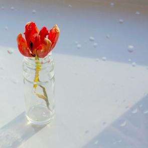 ����: ��� �������