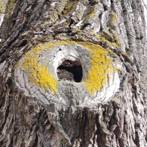 ����: ��� ����� ���������