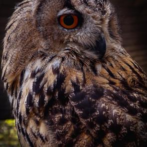 ����: ��������� ������