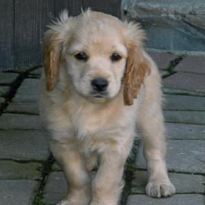 ���������� ������