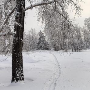 ����: �����