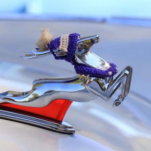 ����: ����, �������