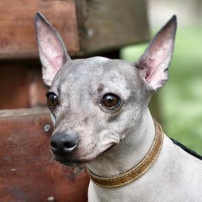 ����: ������