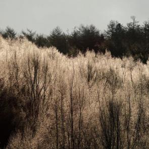 ���� ��������: ����� � ������