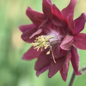 ����: ������