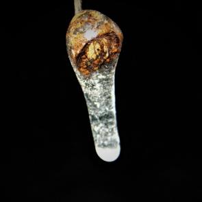 ����: ����� �������!