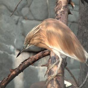 ����: ������ �����