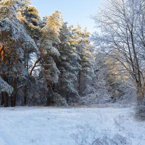 ����: ������� � ����