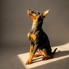 ���� ��������: � ����� �����