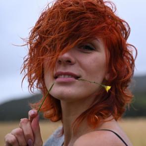 ����: ������� 