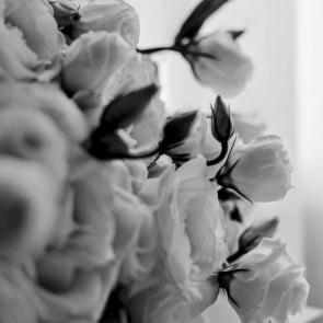 ����: ����� ����� ���