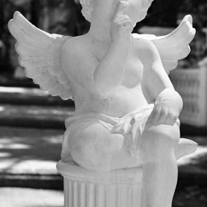 ����: �����