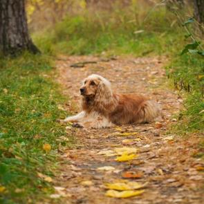 ����: ����� ����� �� ��������