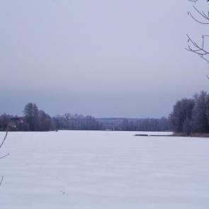 ����: �����