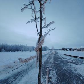 ����: ��������� ������