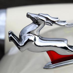 ����: �����