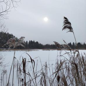 ����: ��� �� ������