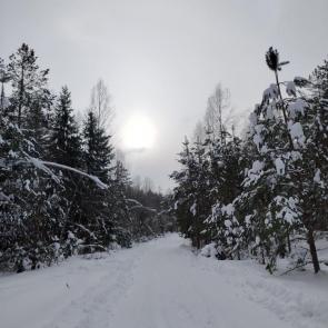 ����: �������� � ����