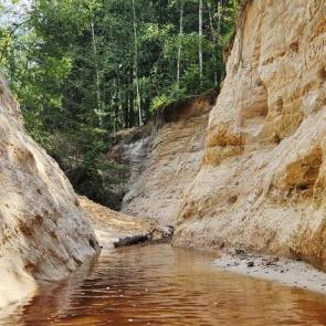 ����: ������ 