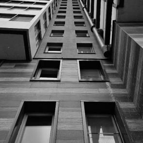 ����: �����������