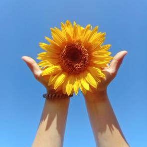 ���� ��������: ��������� ��������