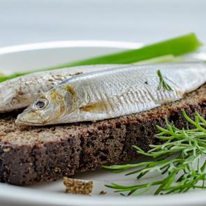 ����: ��������� �������������