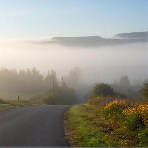 ��������� ����������