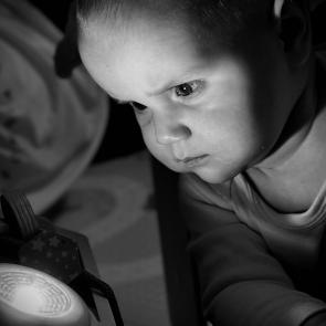 ����: �������