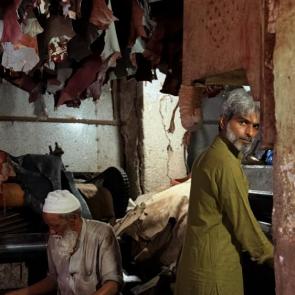 ����: ����� ������ 