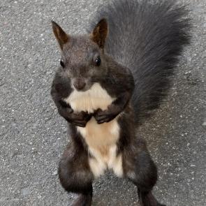 � ���� ����-������������