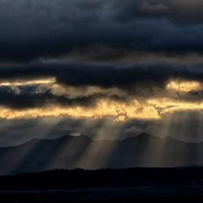 ����: �����